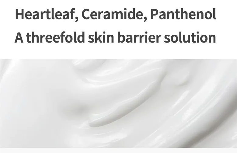 Anua- Pack de solution de nuit Heartleaf Cream Mask - Masque hydratant