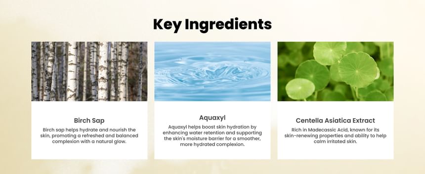 AXIS-Y Sunday Morning Hydrating pH-Balanced Cleansing Foam for All Skin Types