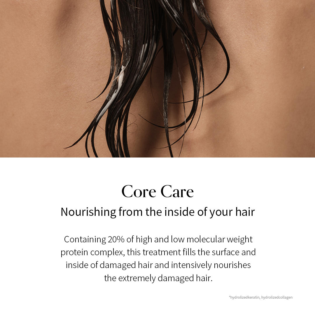 Damage Therapy Treatment EX (250g / 8.8 oz.)