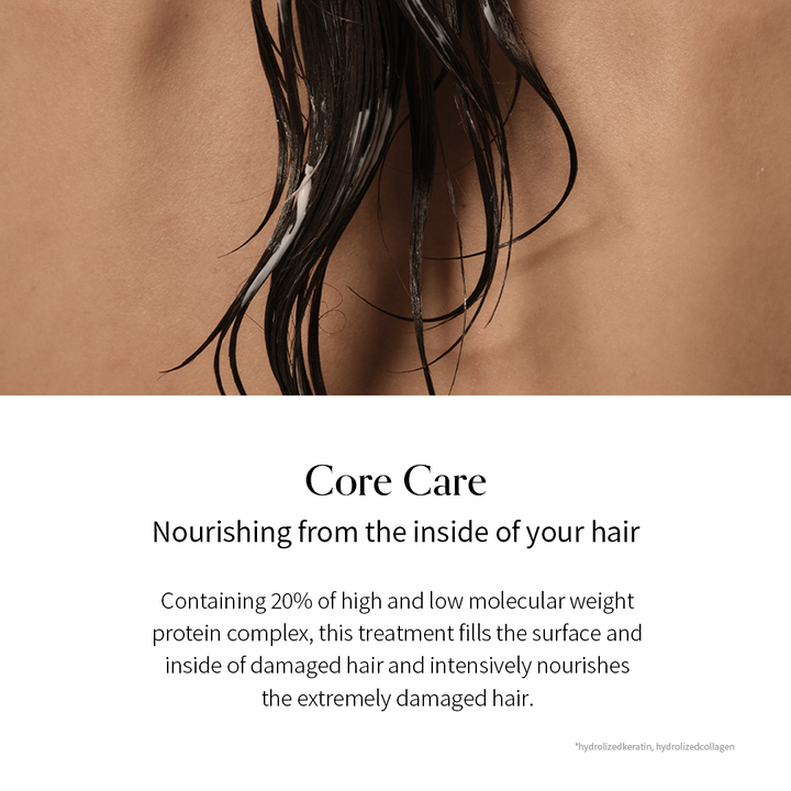 Damage Therapy Treatment EX (250g / 8.8 oz.)