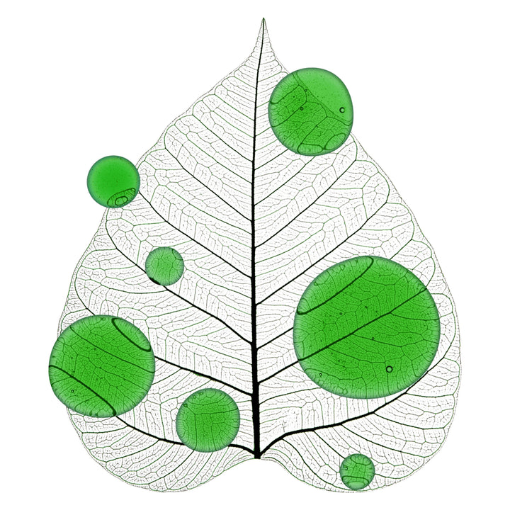 Anua Heartleaf Centella Red Spot Cream 30g
