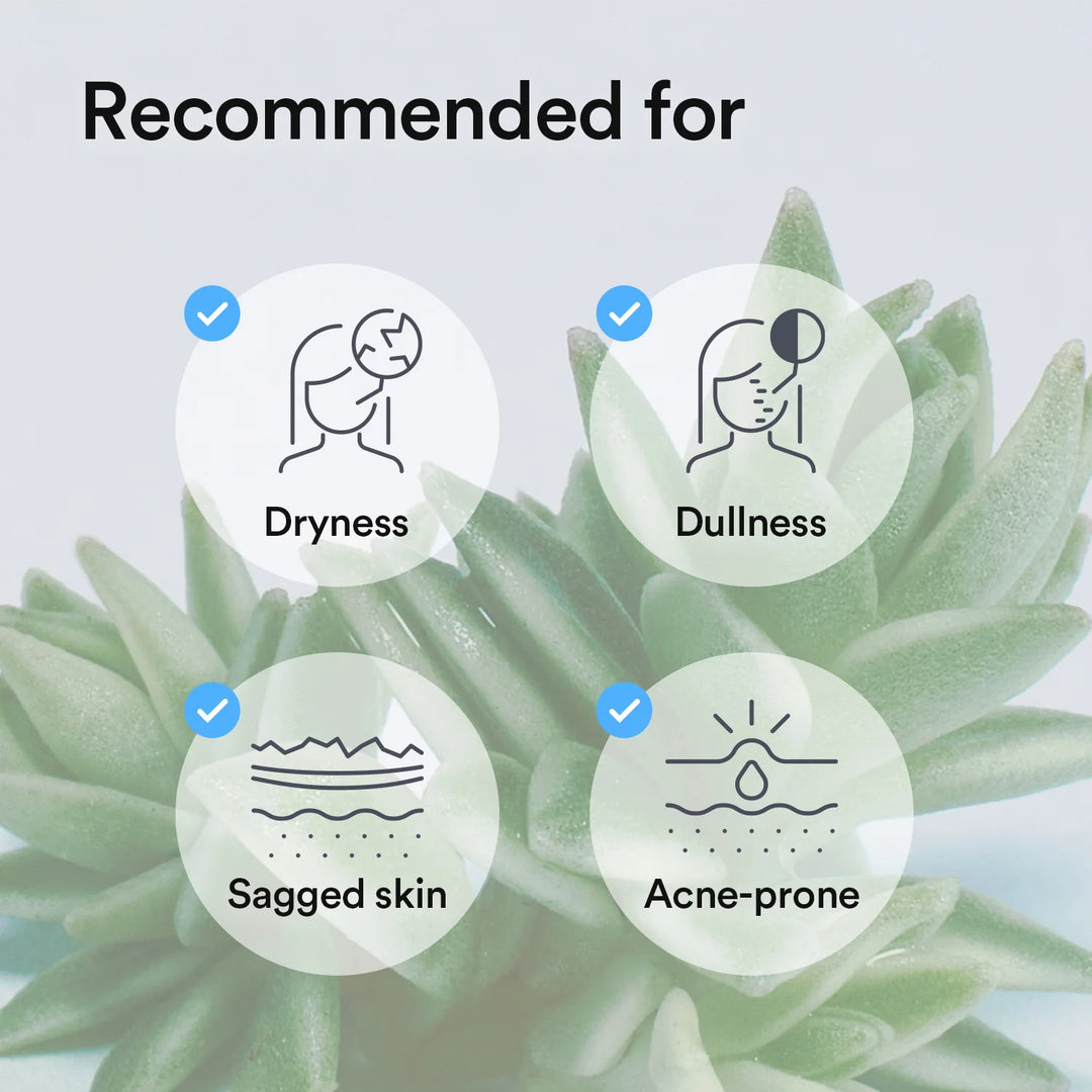 Abib - Collagen Gel Mask - 35 g - Sedum Jelly - 1 ea