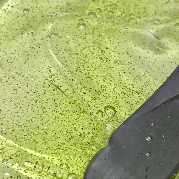 Lime SundayRefreshShampoo - ANILLO