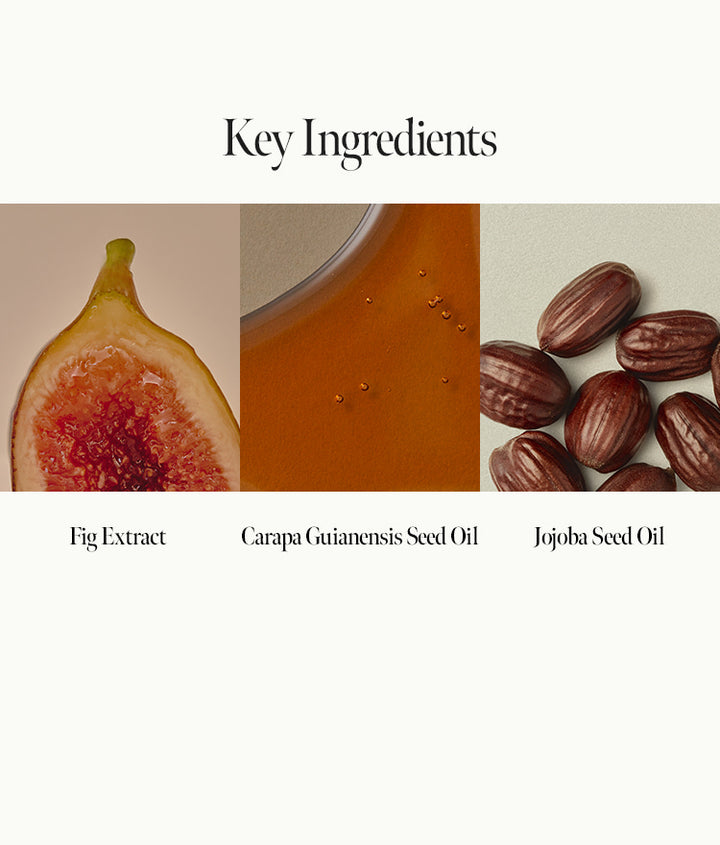 Fig WhiskyBody Oil - ANILLO