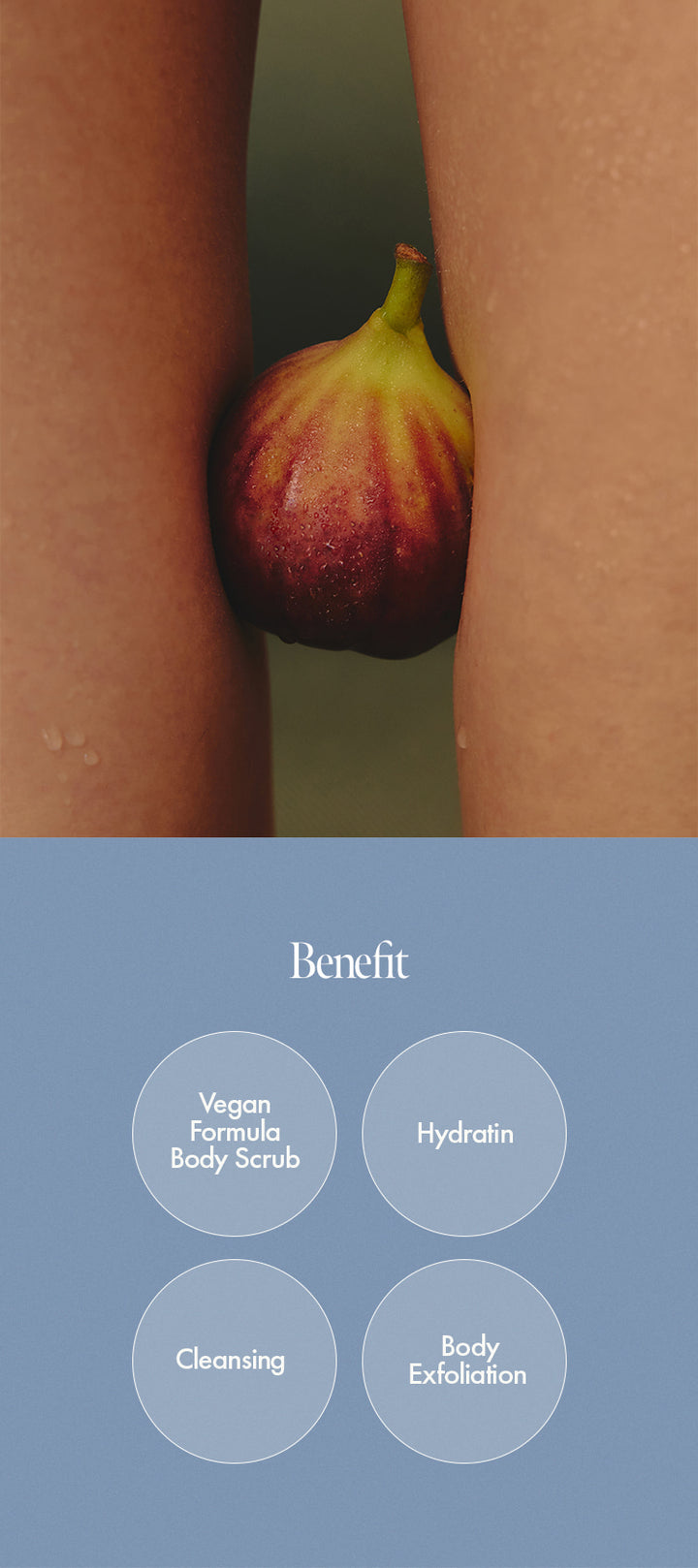 Fig WhiskyBody Scrub - ANILLO