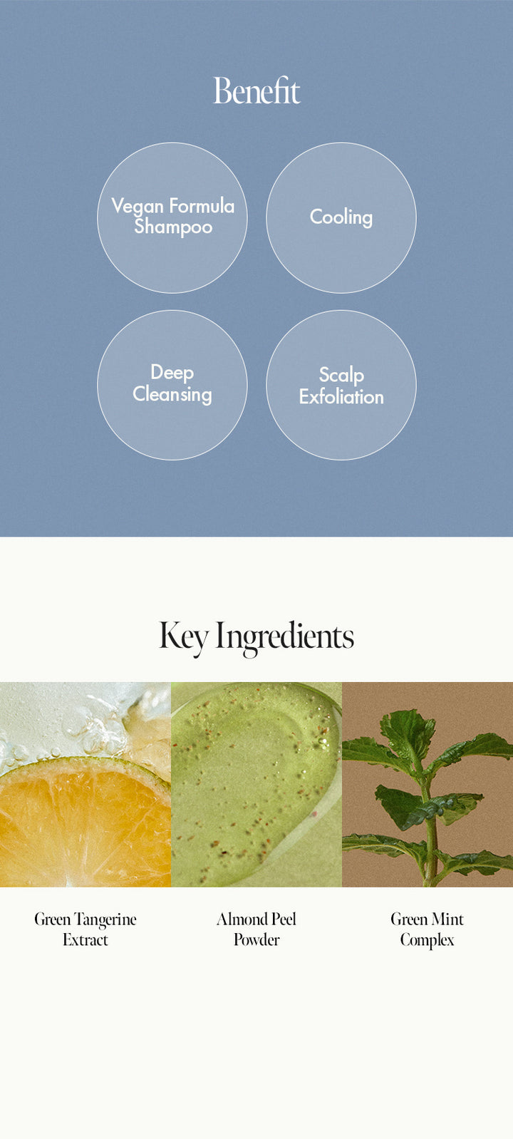 Lime SundayRefreshShampoo - ANILLO