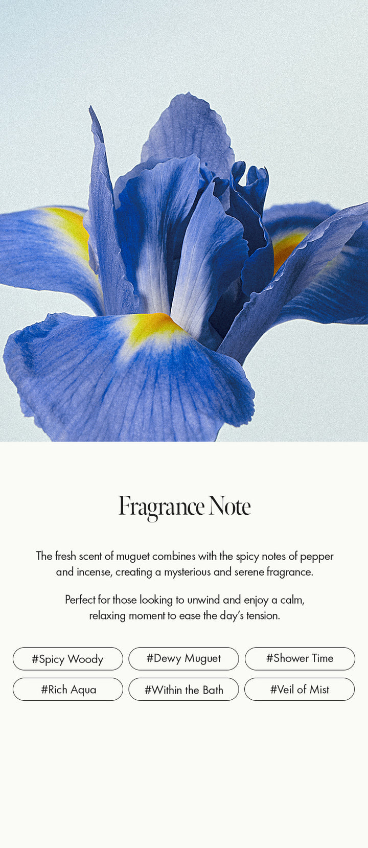 Shower TimeParfumBody Mist - ANILLO