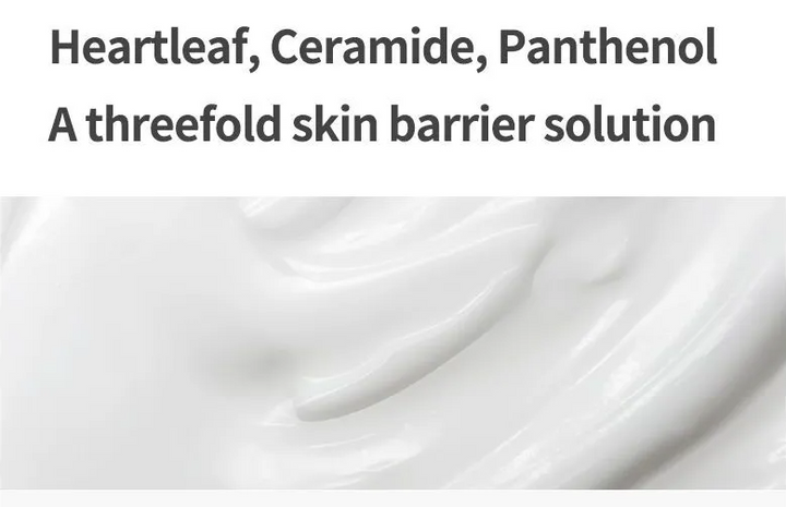 Anua- Pack de solution de nuit Heartleaf Cream Mask - Masque hydratant