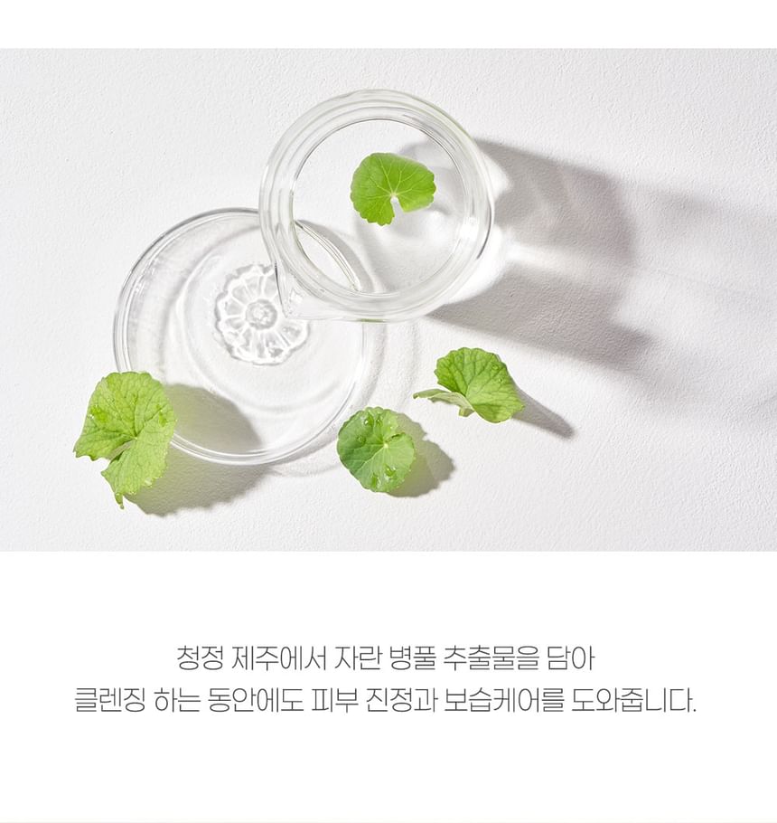 Mixsoon Centella Cleansing Water: Gentle, Soothing K-Beauty Facial Cleanser 10.1 fl oz