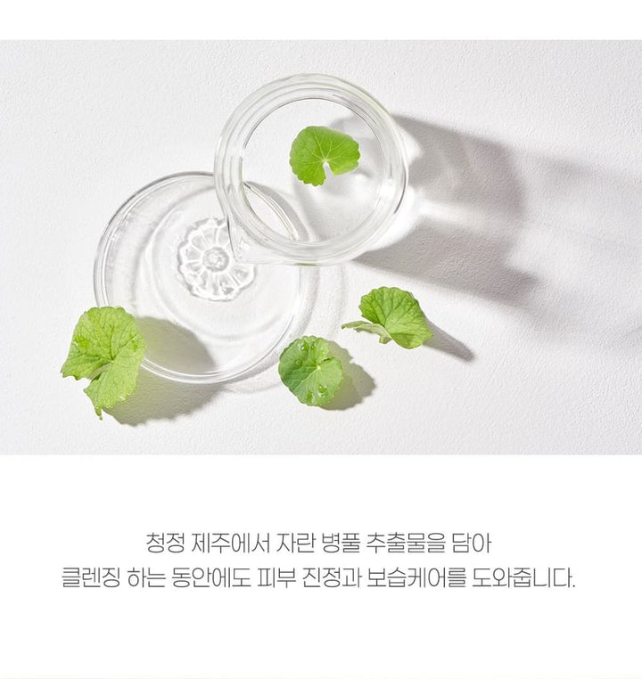 Mixsoon Centella Cleansing Water: Gentle, Soothing K-Beauty Facial Cleanser 10.1 fl oz