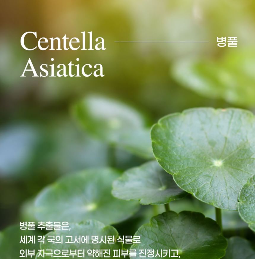 Mixsoon Centella Cleansing Water: Gentle, Soothing K-Beauty Facial Cleanser 10.1 fl oz