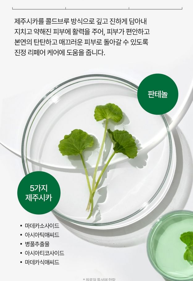 MEDI-PEEL Vegan Modeling Cup Pack: Rejuvenating Face Mask Treatments, 4 Types