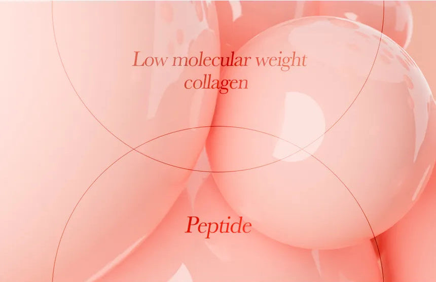 mixsoon - Holiday Box - PDRN Special