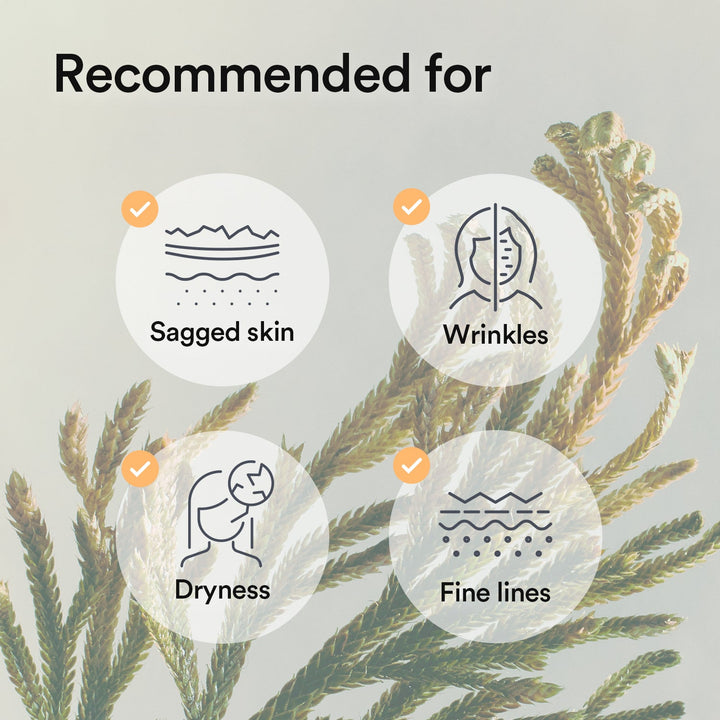 https://cdn.shopify.com/s/files/1/0539/0457/2611/files/thumb_cg_j_07.jpg?v=1765961760