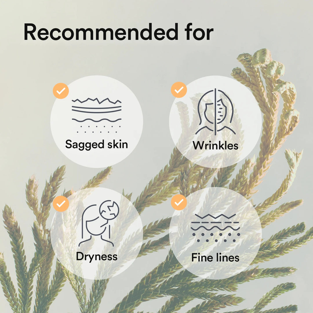 Abib - Collagen Gel Mask - 35 g - Jericho Rose Jelly - 1 ea